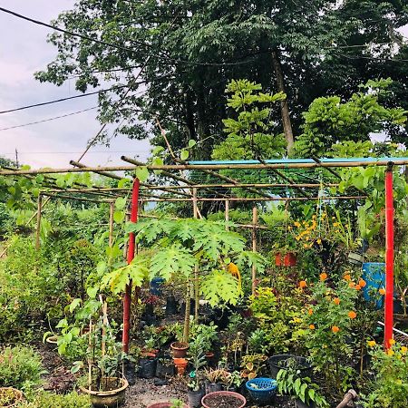 Atocha Homestay - Terong@Taiping Kampong Salak 外观 照片
