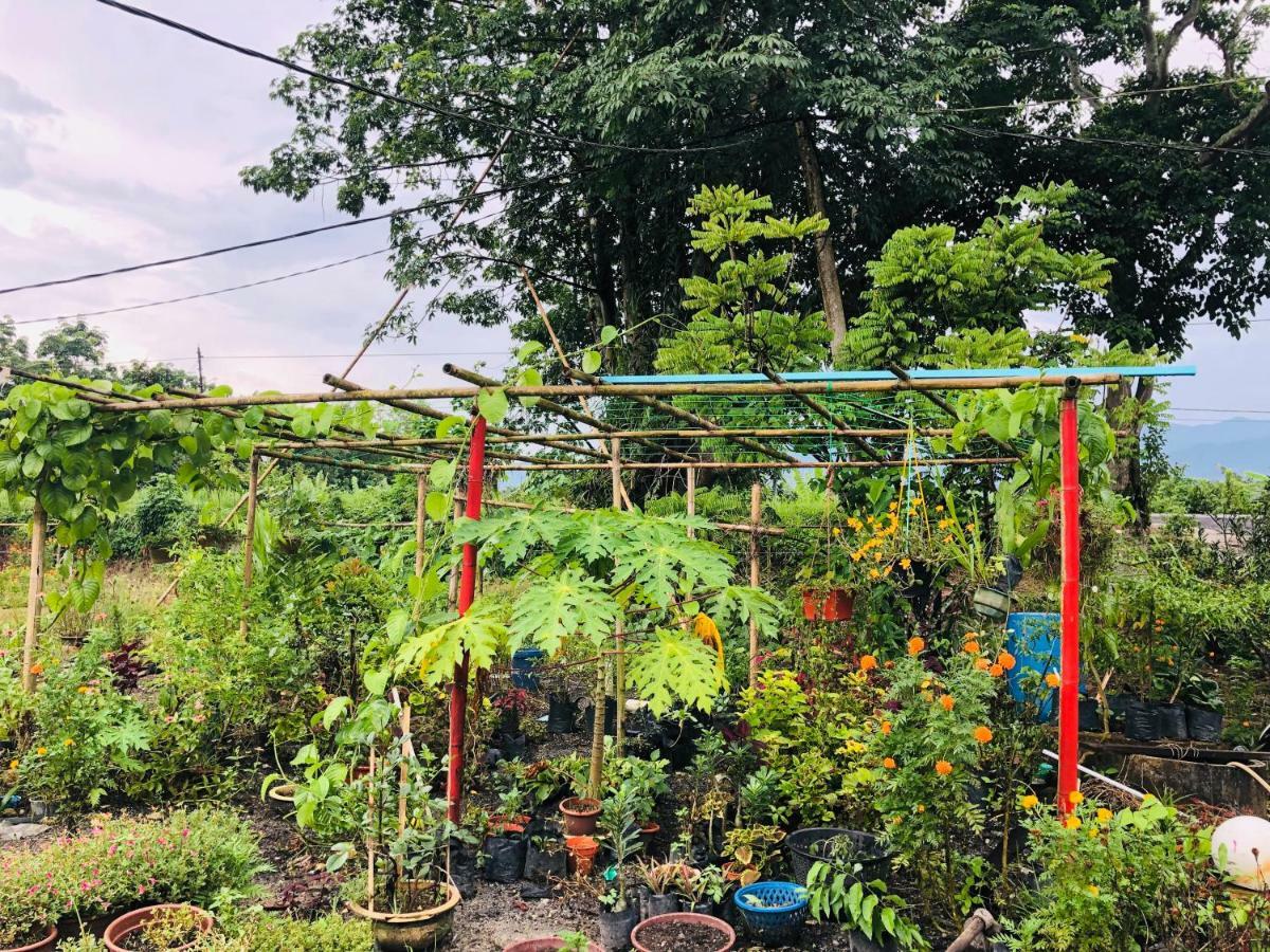 Atocha Homestay - Terong@Taiping Kampong Salak 外观 照片